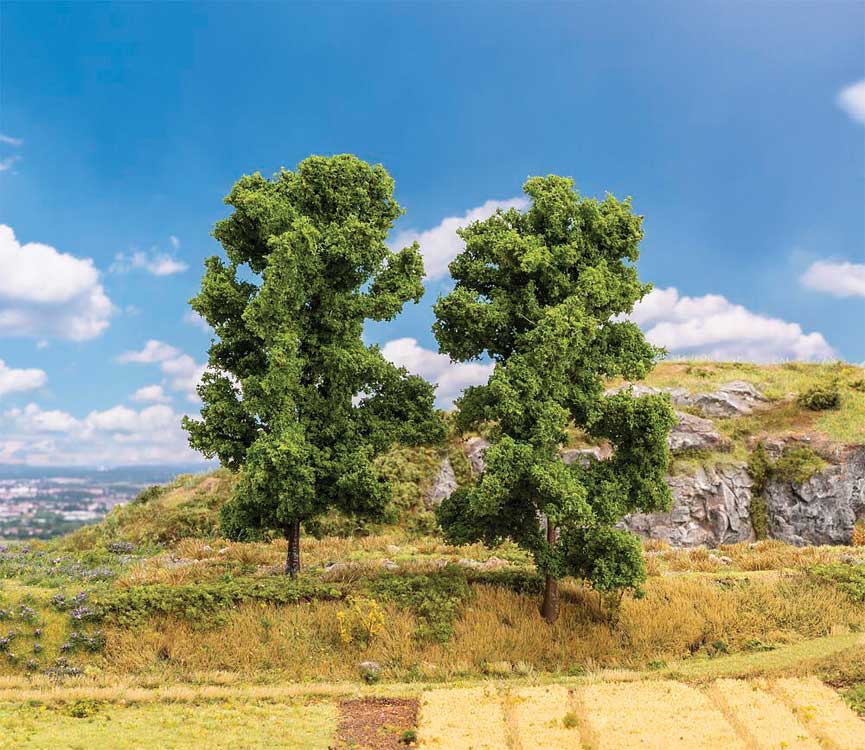 Beech Tree -- 7-1/16" 18cm Tall, pkg(2)