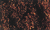 Soil -- Plowed Field