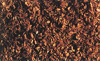 Soil -- Sand Brown