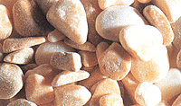 Rocks -- Beach Pebble, Beige