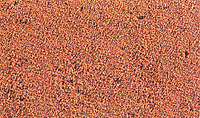 Sand -- Earth Brown