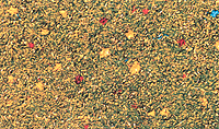 Grass -- Meadow Flowers w/Shaker Applicator