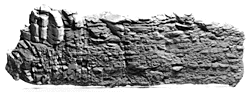 Ultimate Shale 9x25 cast