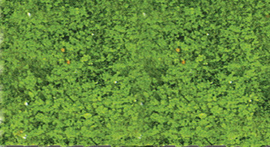 Foliage Pad - 11 x 5-1/2" 27.9 x 14cm -- Spring Green-1
