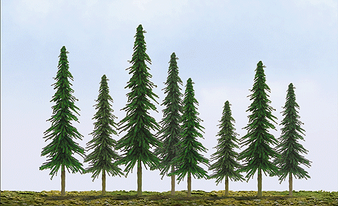 Spruce Trees -- 4 to 6" 10.2 to 15.2cm pkg(24)