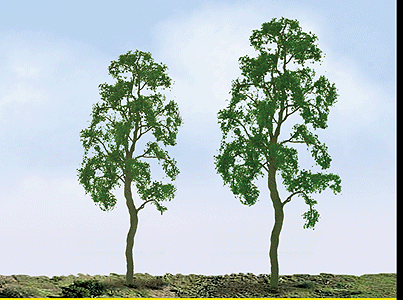 Birch Trees - Professional Series -- 3" 7.6cm pkg(3)
