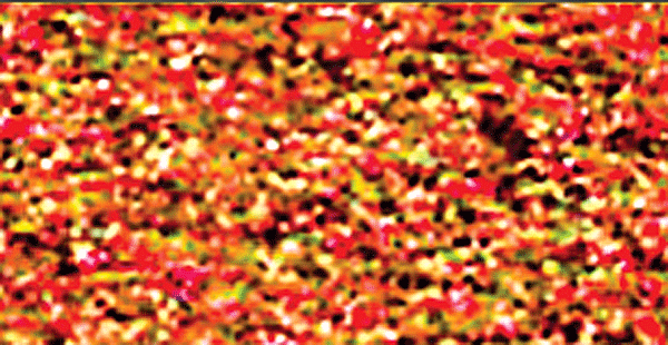 Turf Ground Cover -- Medium Blended Late Fall 30 Cubic Inches