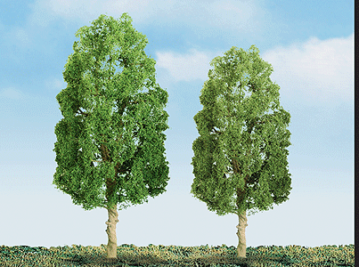 Sycamore Tree -- 4" pkg(2)