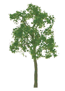 Ash Trees -- 1-1/2" pkg(4)