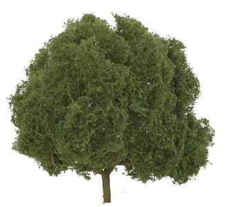 Oak Tree -- 5"