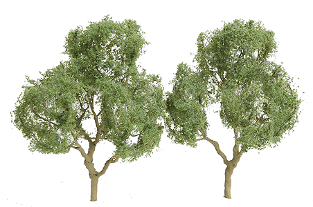 Deciduous Tree -- 4" pkg(2)