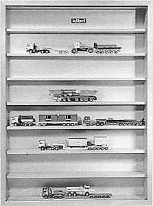 Display Case 24x32x3"