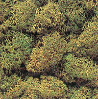 Lichen -- Medium Green