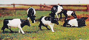 Cow Assortment -- Black & White #1