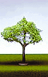 SceneMaster(TM) Trees w/Bendable Armatures -- Small Maple
