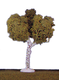 Trees -- 4" White Birch pkg(4)