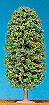 Trees -- Giant Redwood 5-1/2" pkg(2)