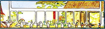 Farm animals lying 8/