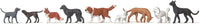 Animals -- Assorted Dogs & Cats