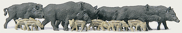Animals -- Wild Boars