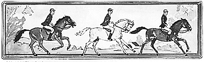Equestrians dressed 3/