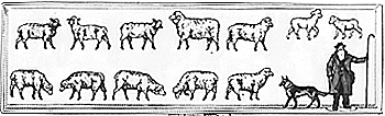 People Working -- Shepherd w/Sheep