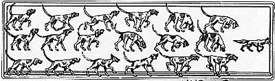 Animals -- Hunting Hounds & Fox