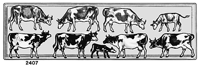 Animals -- Cows