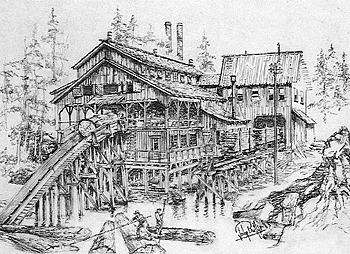 Coon Gap Sawmill Structure Kit