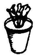Flower Pots