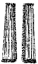Formal Curtains