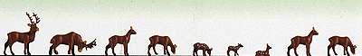 Animals -- Deer pkg(9)