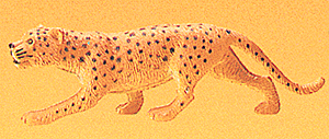 Figures Animals -- Leopard