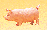 Animals -- Pigs