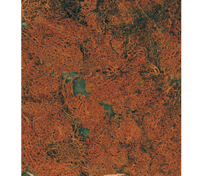 Lichen -- Fall Rust 2-1/2oz