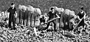 Farmers w/stacked grain