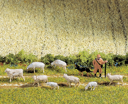 Animals -- Sheep, Goats & Dogs w/Herder
