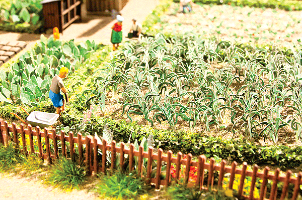 Leek - Laser-Cut Minis(R) -- Makes 18 Plants