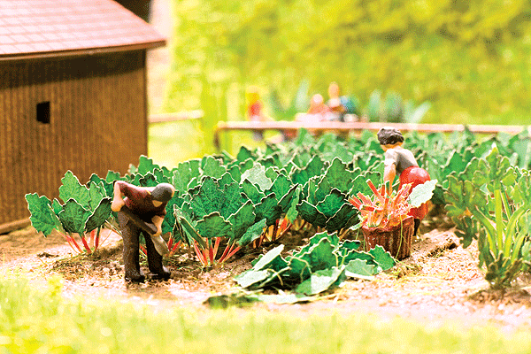 Laser-Cut Minis(R) Plants -- Rhubarb pkg(18)