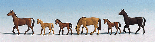 Animals -- Horses