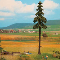 Trees -- High Trunk Spruce - 18.5cm