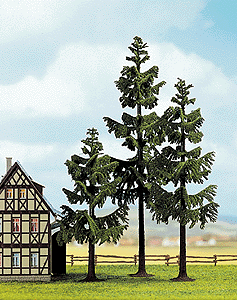Pine Tree-6"