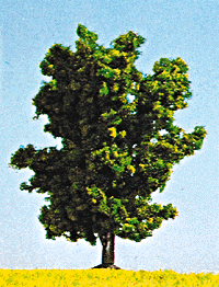 Fruit Tree -- Pear - Green 4"
