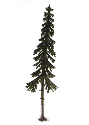 Conifers -- Weathered Pines 9"