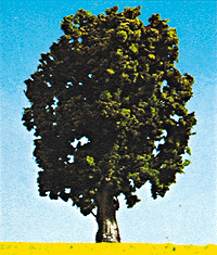 Oak tree green 5.9"h