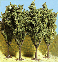 Trees -- Poplar Trees