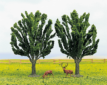 Trees -- Elm Trees
