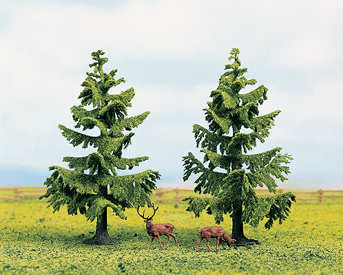 Trees -- Spruces