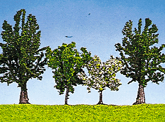 Tree red oaks/pear 4/