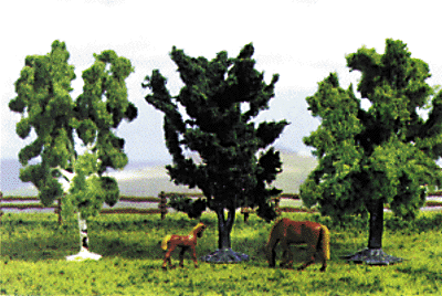 Trees -- Deciduous